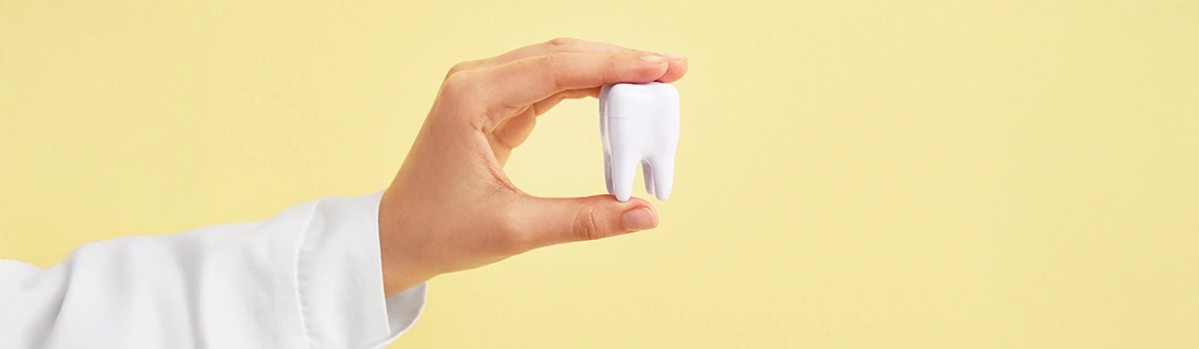 Root Canals In Lewiston ME